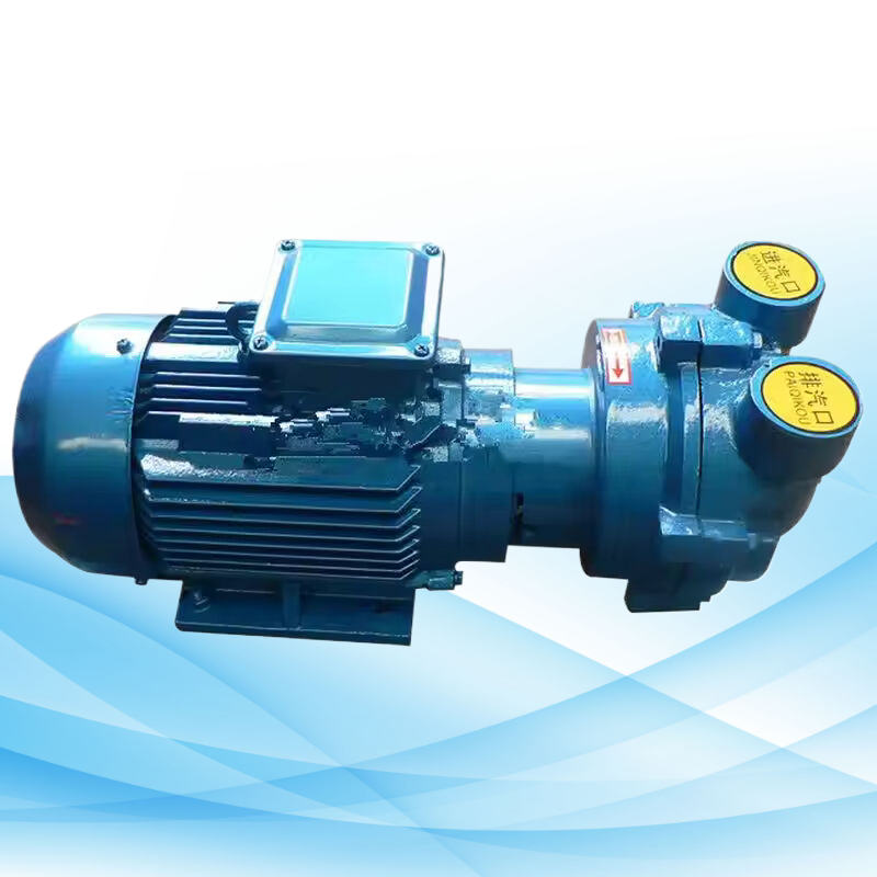 Industrial vacuum pumps