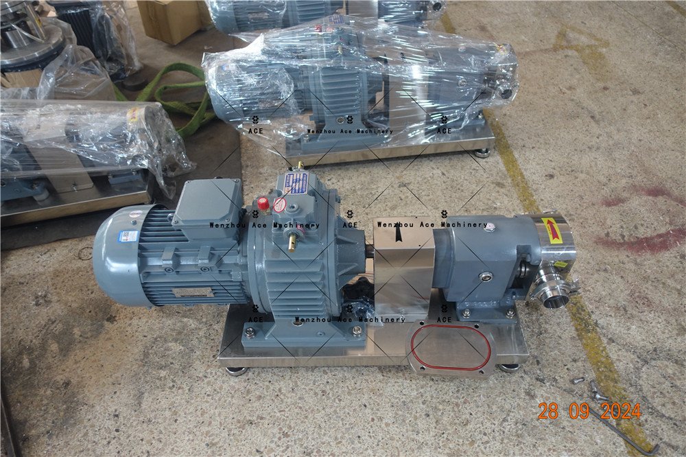 Rotary Pumps