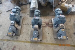 Rotary Lobe Pumps