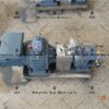 paste transfer pump