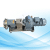 paste transfer pump