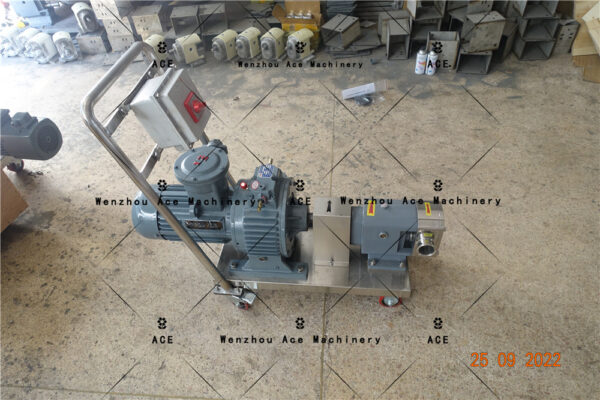 explosion proof pump​