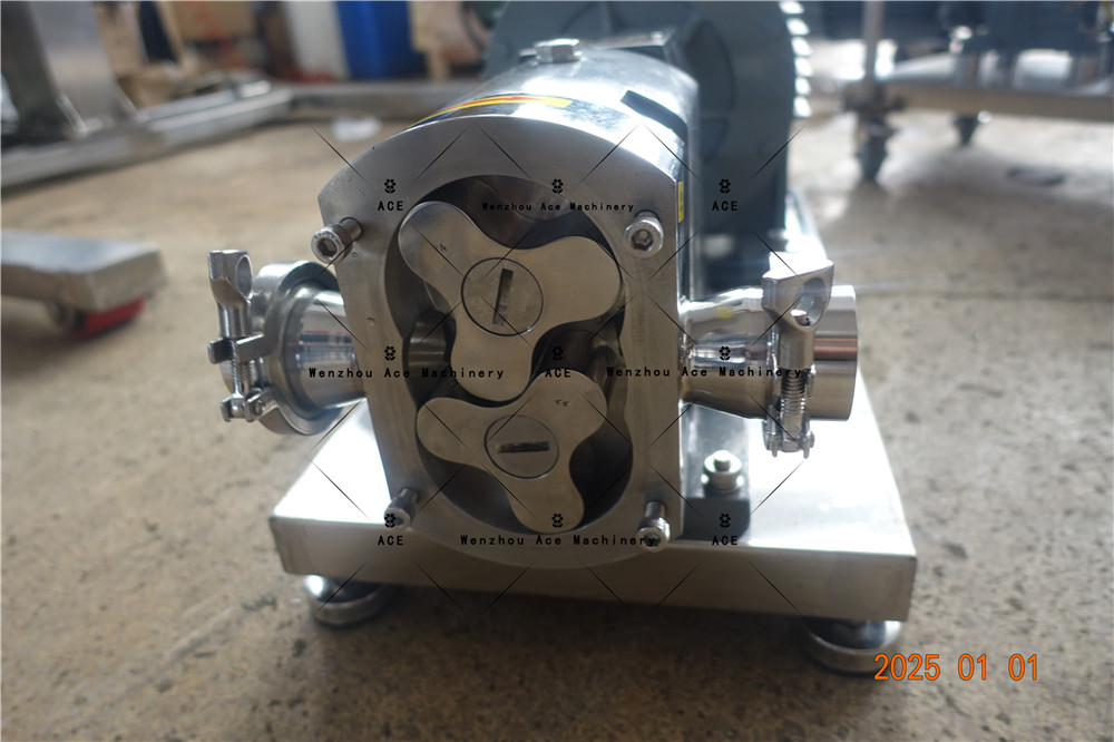 Rotary Lobe Pump