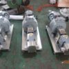 4KW hygienic lobe pump