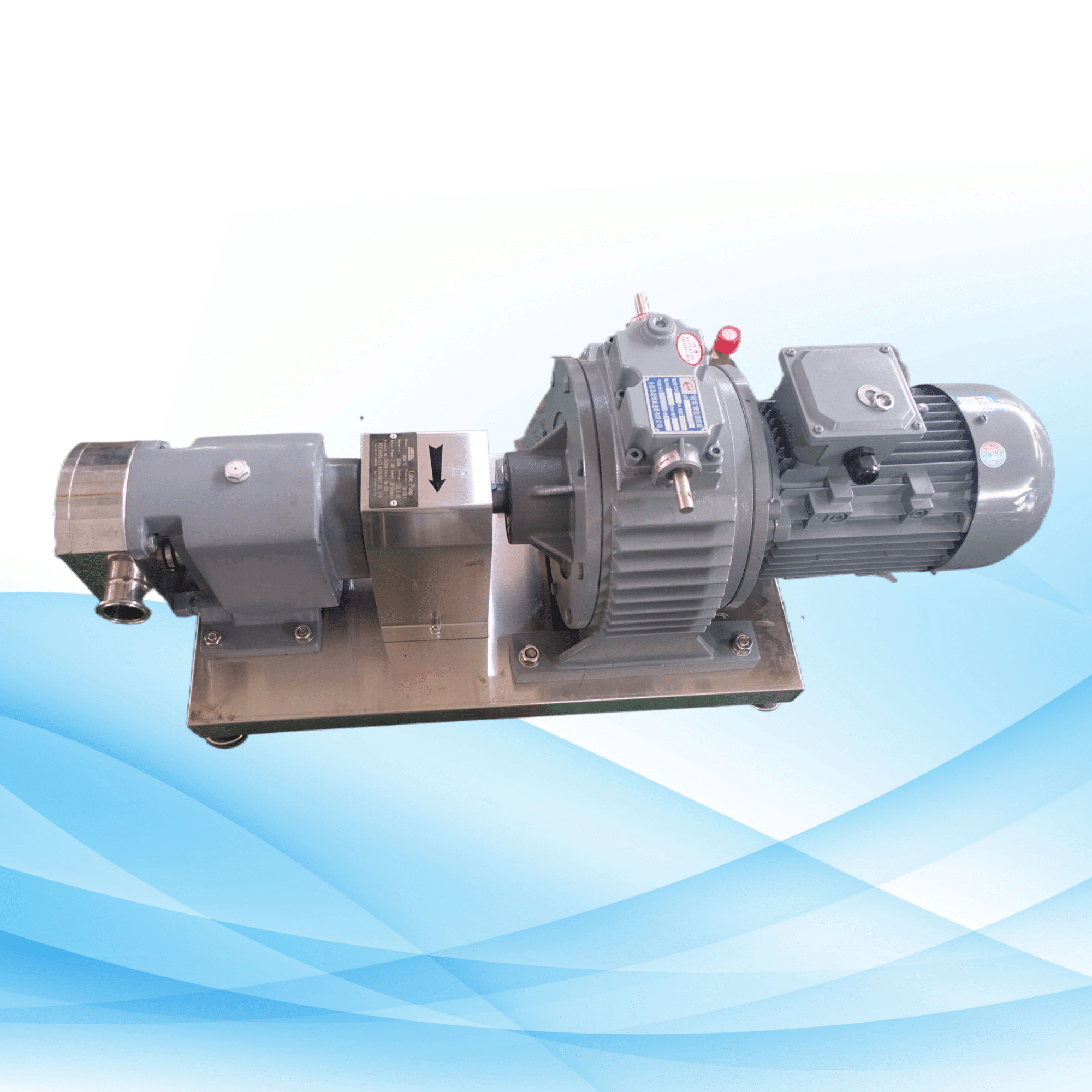 2.2KW Sanitary Rotary Lobe Pump